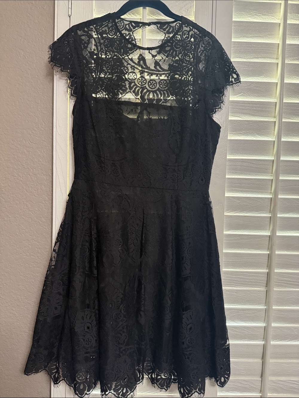 BB Dakota Black Lace Mini Dress with Scalloped Hem